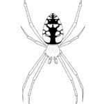 Raskrasil.com-Coloring-Pages-Spider-110