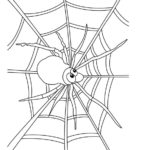 Raskrasil.com-Coloring-Pages-Spider-16