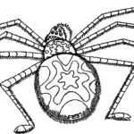 Raskrasil.com-Coloring-Pages-Spider-18
