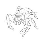 Raskrasil.com-Coloring-Pages-Spider-26
