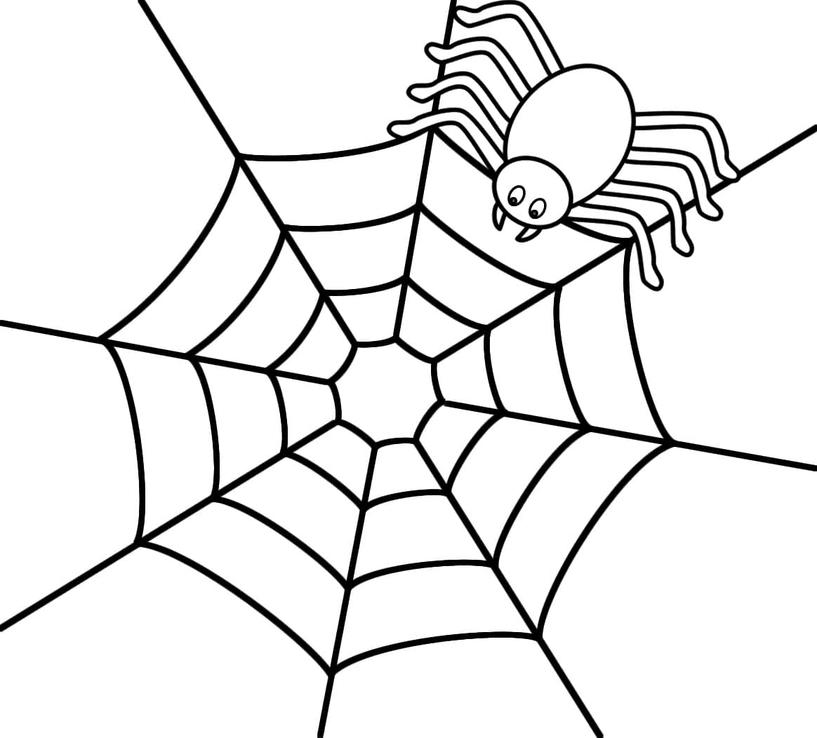 Raskrasil.com-Coloring-Pages-Spider-29