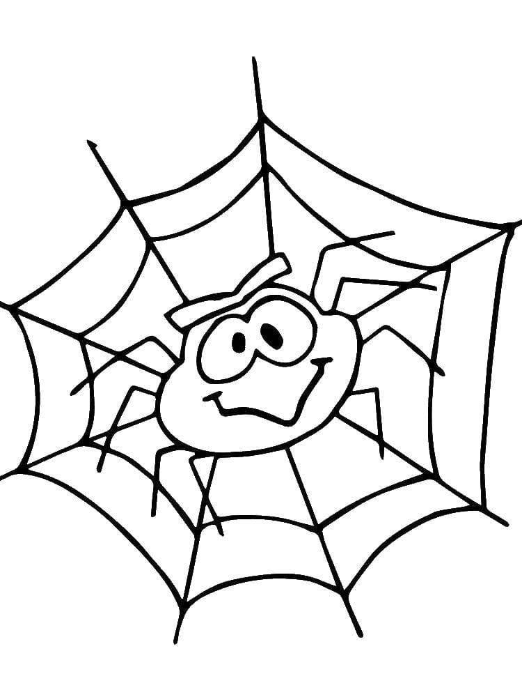 Raskrasil.com-Coloring-Pages-Spider-30