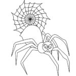 Raskrasil.com-Coloring-Pages-Spider-33