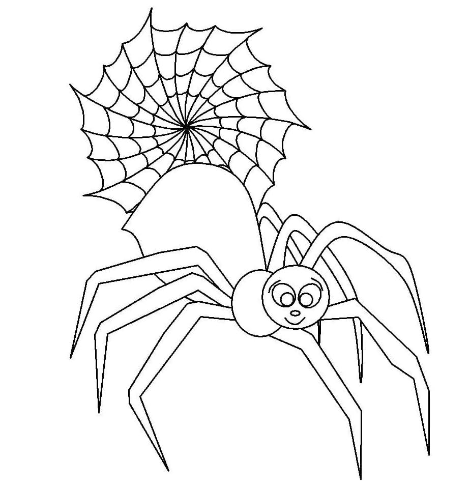 Raskrasil.com-Coloring-Pages-Spider-33