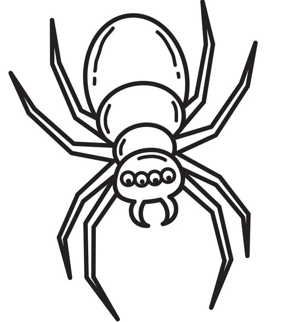 Raskrasil.com-Coloring-Pages-Spider-36