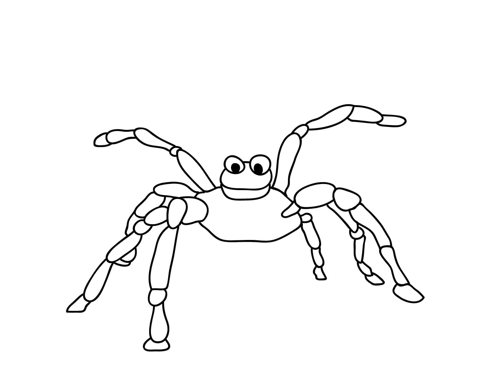 Raskrasil.com-Coloring-Pages-Spider-37