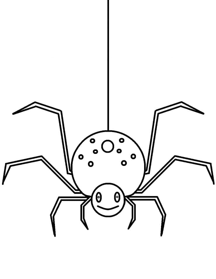 Raskrasil.com-Coloring-Pages-Spider-40