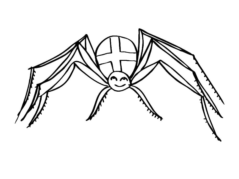 Raskrasil.com-Coloring-Pages-Spider-41