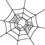Raskrasil.com-Coloring-Pages-Spider-48