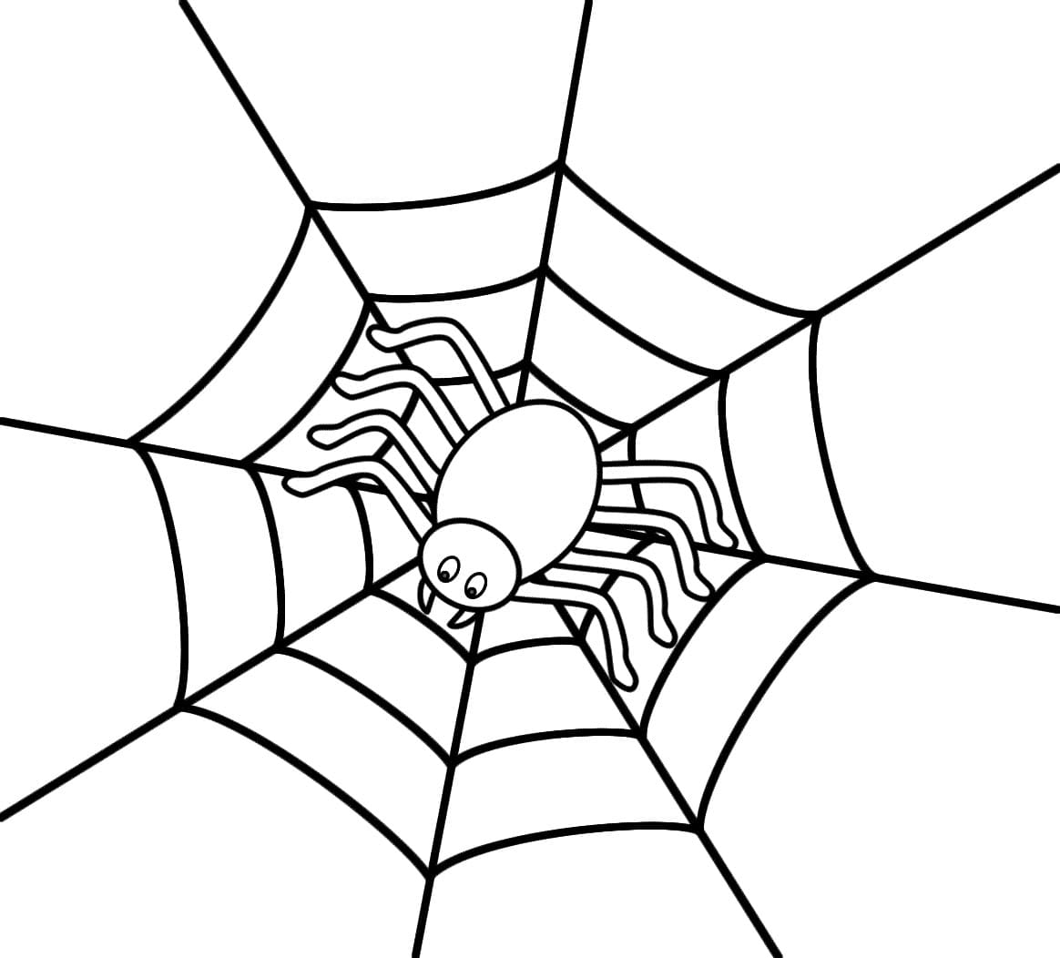 Raskrasil.com-Coloring-Pages-Spider-48
