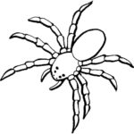 Raskrasil.com-Coloring-Pages-Spider-5