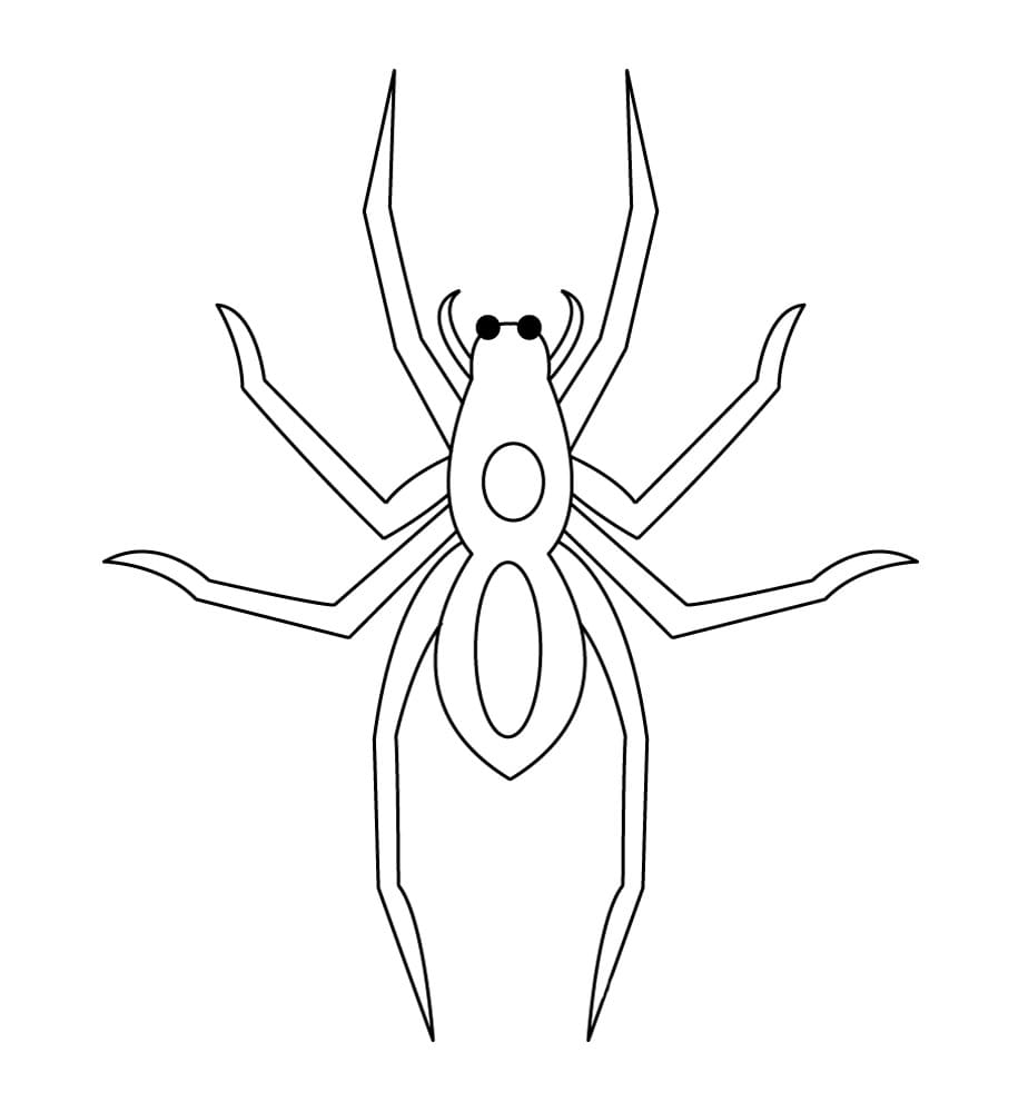 Raskrasil.com-Coloring-Pages-Spider-51