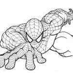 Raskrasil.com-Coloring-Pages-Spider-57