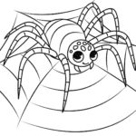 Raskrasil.com-Coloring-Pages-Spider-58