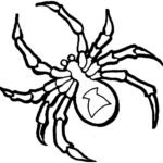 Raskrasil.com-Coloring-Pages-Spider-6