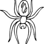 Raskrasil.com-Coloring-Pages-Spider-63