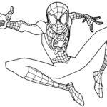 Raskrasil.com-Coloring-Pages-Spider-67