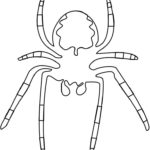 Raskrasil.com-Coloring-Pages-Spider-73