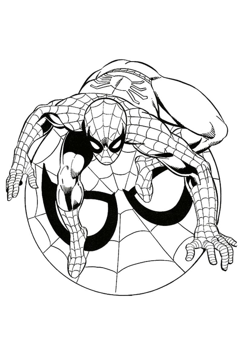 Raskrasil.com-Coloring-Pages-Spider-75