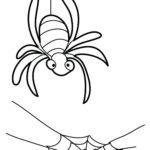 Raskrasil.com-Coloring-Pages-Spider-79