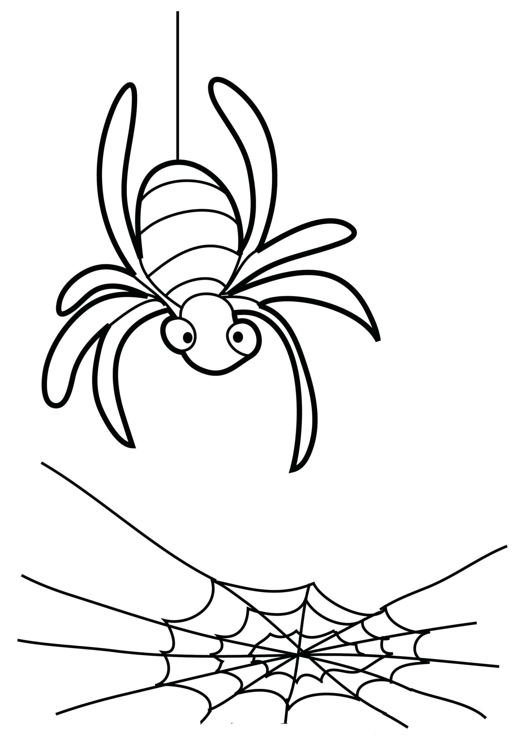 Raskrasil.com-Coloring-Pages-Spider-79