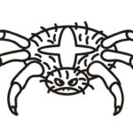 Raskrasil.com-Coloring-Pages-Spider-81