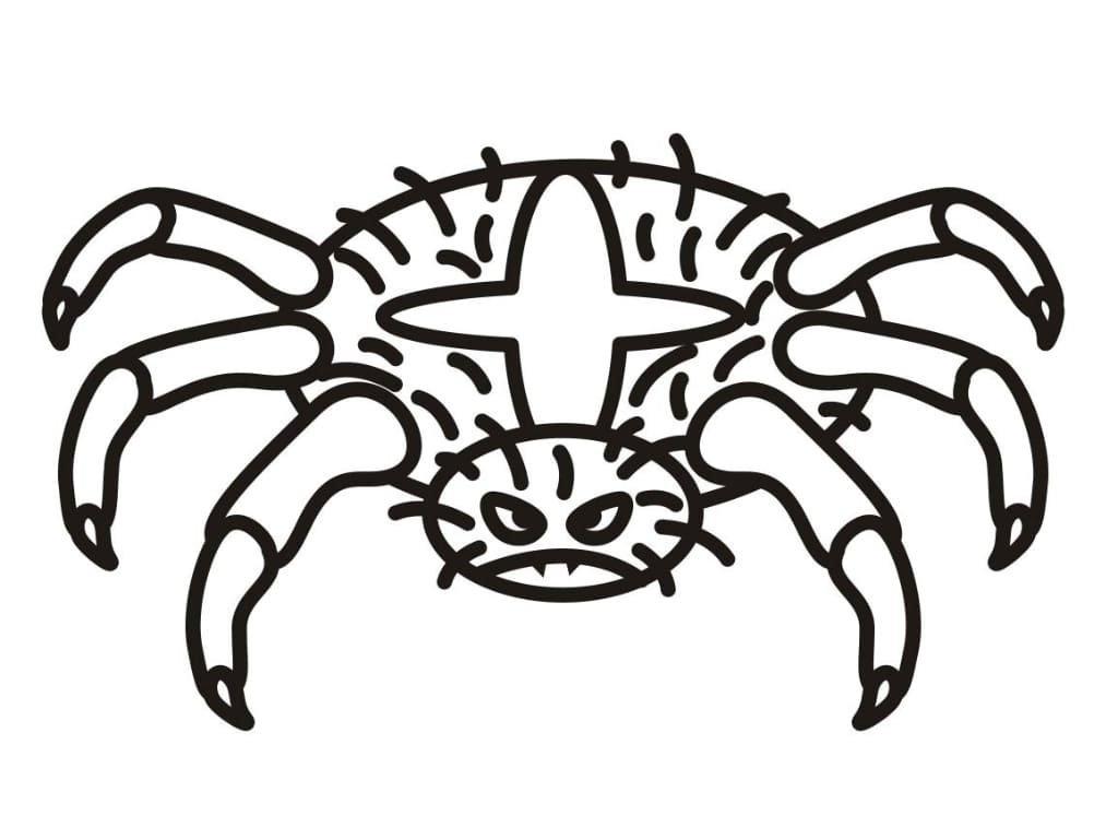 Raskrasil.com-Coloring-Pages-Spider-81