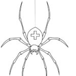 Raskrasil.com-Coloring-Pages-Spider-82