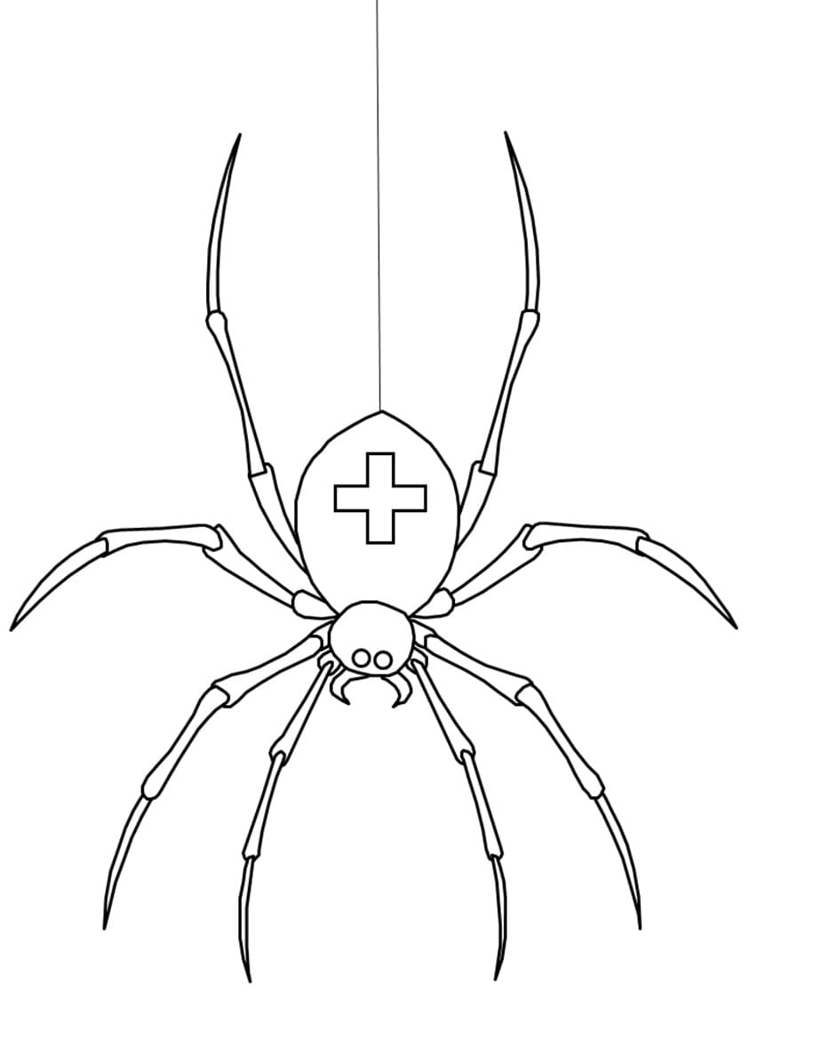 Raskrasil.com-Coloring-Pages-Spider-82