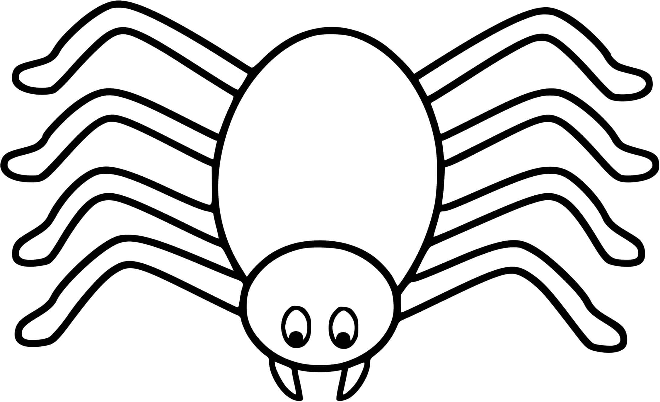 Raskrasil.com-Coloring-Pages-Spider-84