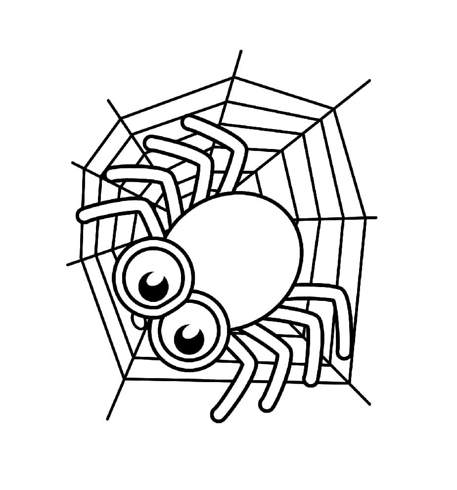 Raskrasil.com-Coloring-Pages-Spider-86