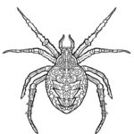 Raskrasil.com-Coloring-Pages-Spider-90