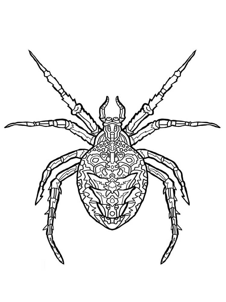 Raskrasil.com-Coloring-Pages-Spider-90
