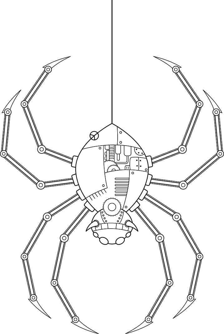 Raskrasil.com-Coloring-Pages-Spider-91