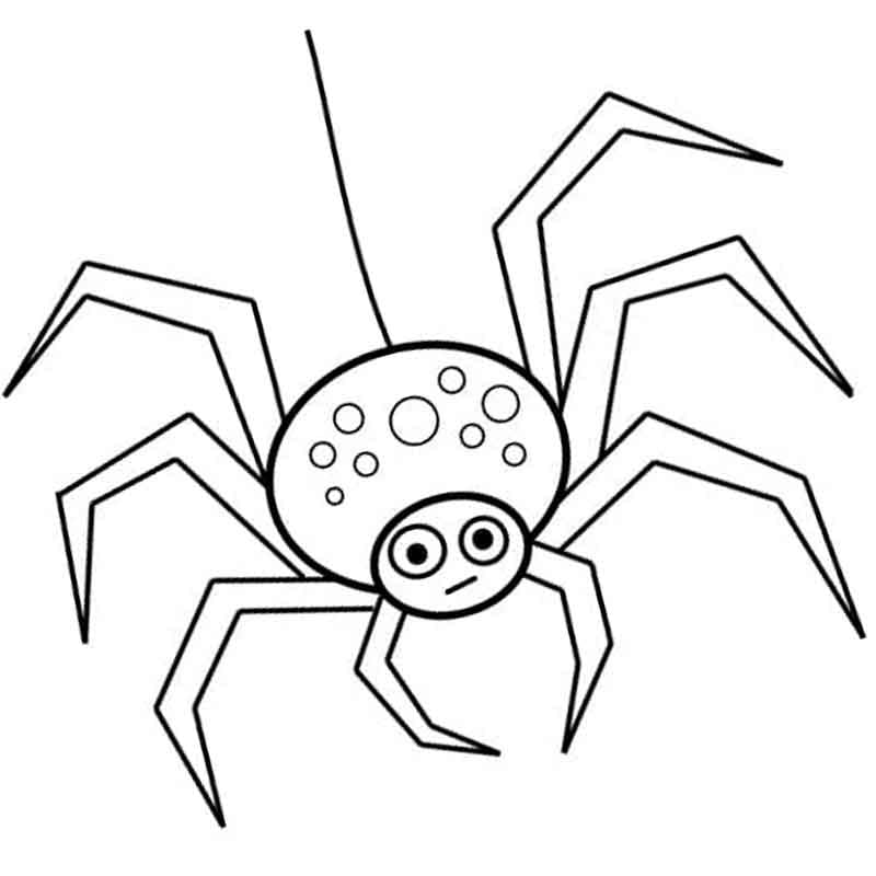 Ausmalbilder Spinnen | Kostenlos Malvorlagen zum Ausdrucken