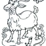Raskrasil.com-6-Years-Old-Coloring-Pages-5