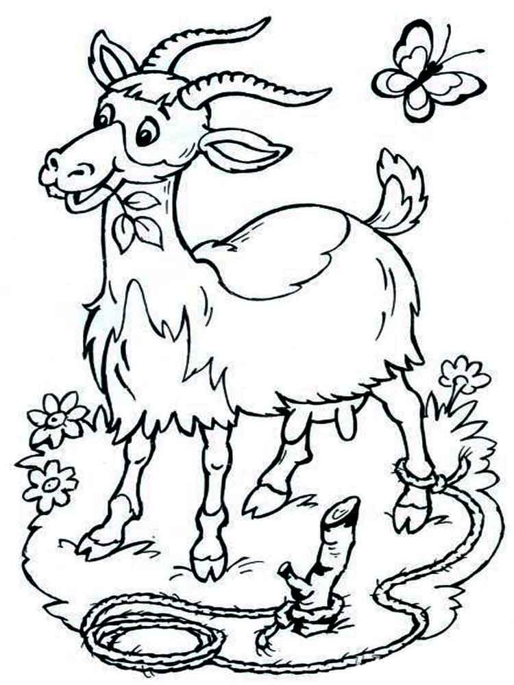 Raskrasil.com-6-Years-Old-Coloring-Pages-5