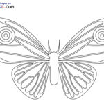 Raskrasil.com-Butterfly-coloring-pages-10