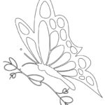 Raskrasil.com-Butterfly-coloring-pages-3