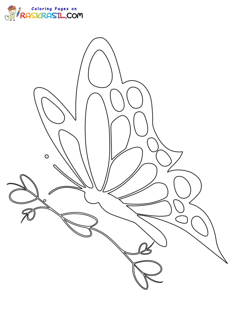 Raskrasil.com-Butterfly-coloring-pages-3