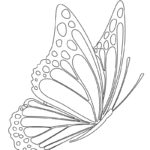 Raskrasil.com-Butterfly-coloring-pages-5
