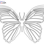 Raskrasil.com-Butterfly-coloring-pages-7