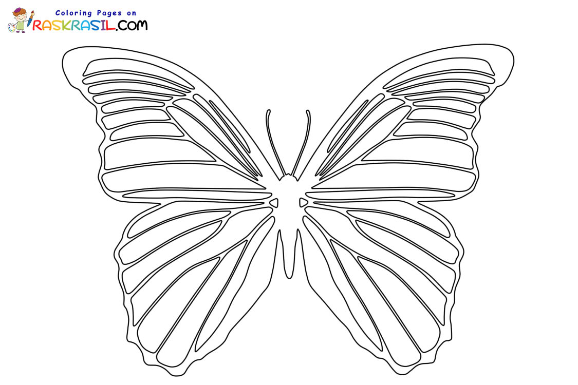 Raskrasil.com-Butterfly-coloring-pages-7