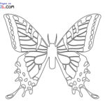 Raskrasil.com-Butterfly-coloring-pages-8
