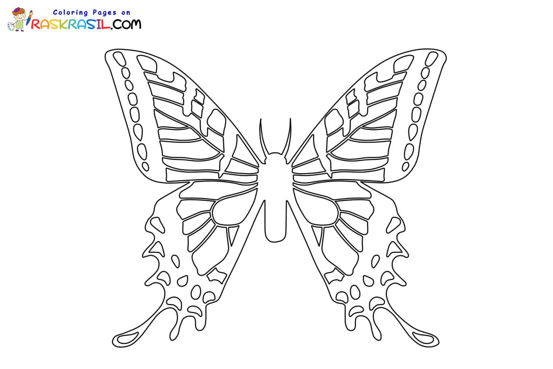 Raskrasil.com-Butterfly-coloring-pages-8
