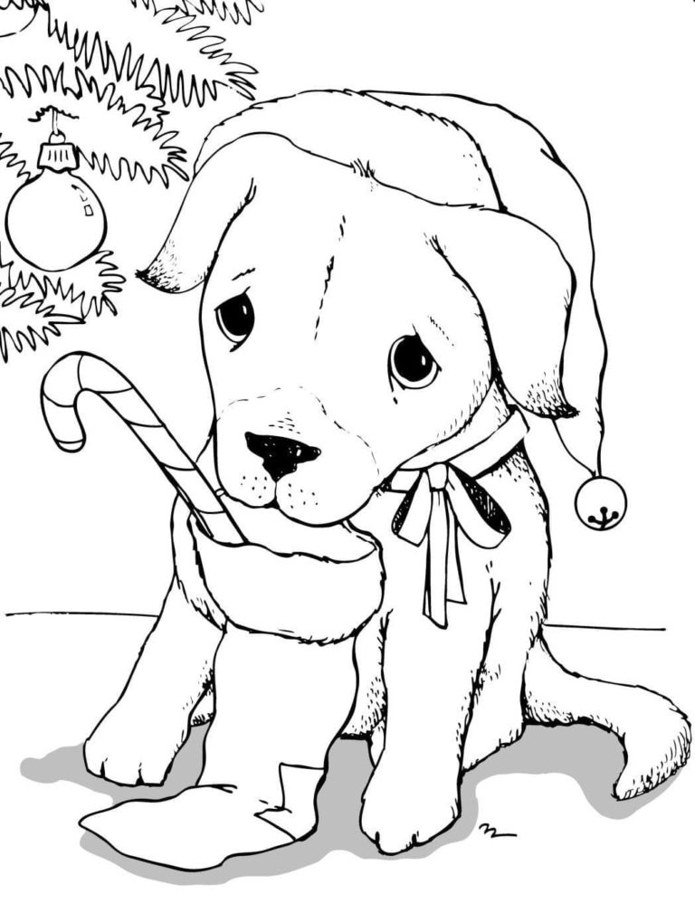 Christmas Animals Coloring Pages