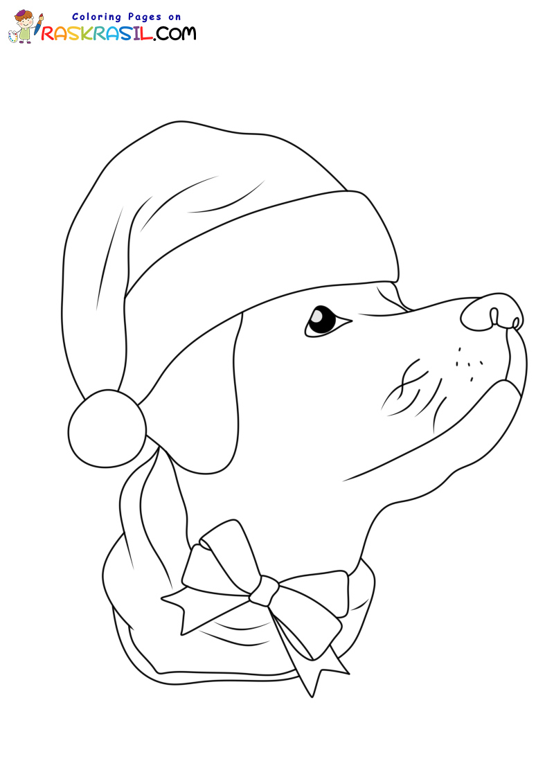 Raskrasil.com-Coloring-Pages-Christmas-Animals-Dog