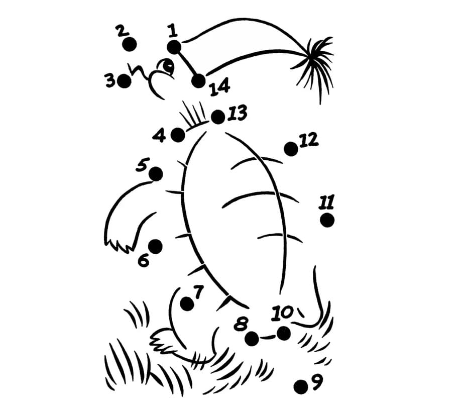 Raskrasil.com-Coloring-Pages-Dot-to-Dot-39