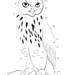 Raskrasil.com-Coloring-Pages-Dot-to-Dot-80