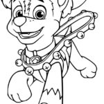 Raskrasil.com-Coloring-Pages-Paw-Patrol-Christmas-39